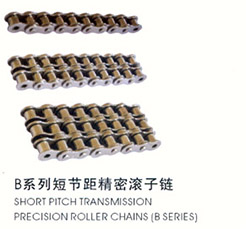 B series short pitch precision roller chain